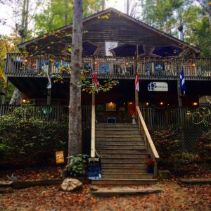 The Fox and the Parrot in Gatlinburg, Tennessee